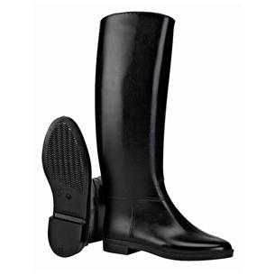 ASCOT B